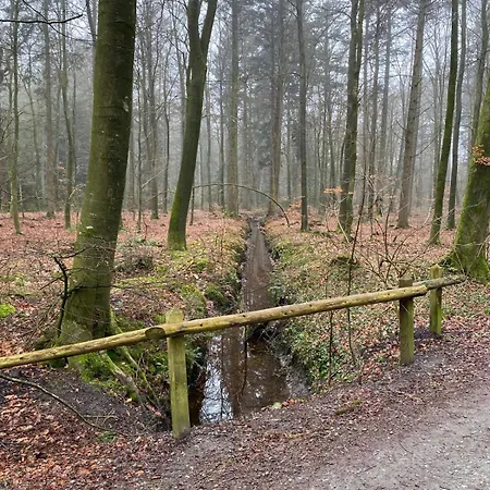 Kniepsand * Langenhorn