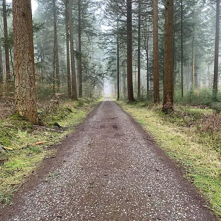 Апартаменты Kniepsand